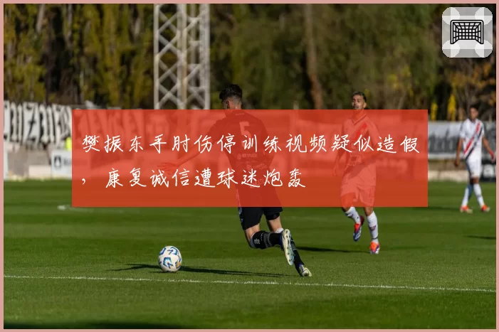 樊振东手肘伤停训练视频疑似造假，康复诚信遭球迷炮轰